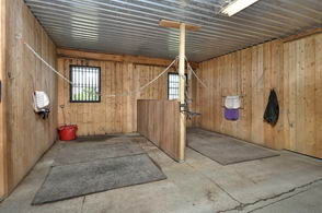 Grooming Stalls - Country homes for sale and luxury real estate including horse farms and property in the Caledon and King City areas near Toronto